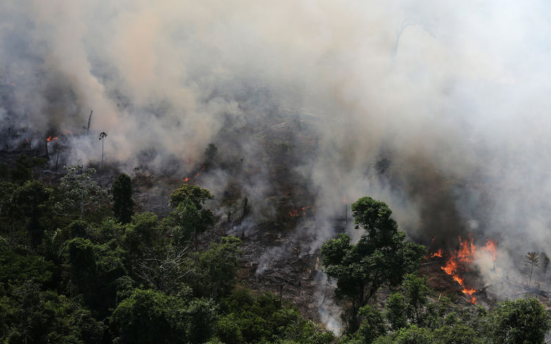 The sky never goes dark while the Amazon burns