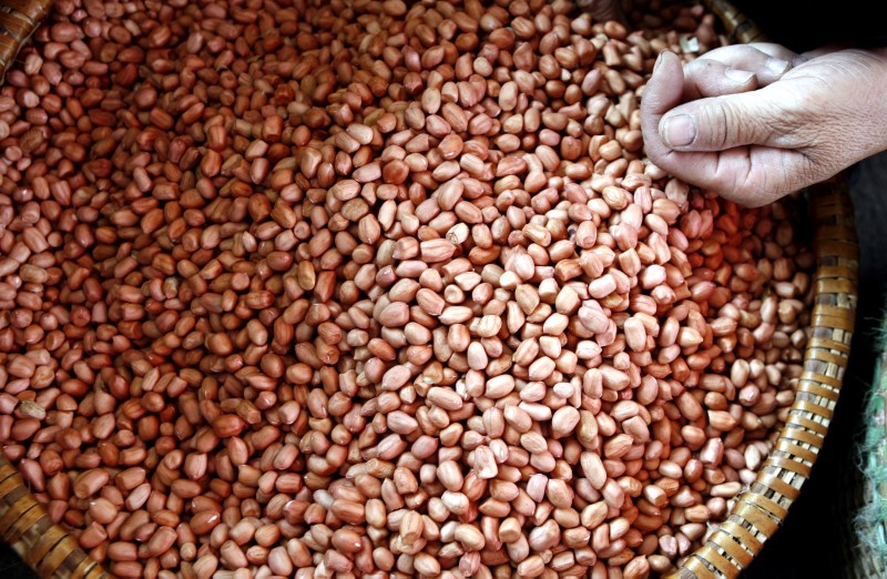 Россельхознадзор отменяет запрет на поставки в РФ арахиса из США
