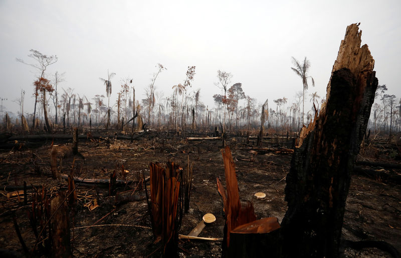 Seis estados brasileños piden ayuda militar para combatir los incendios forestales