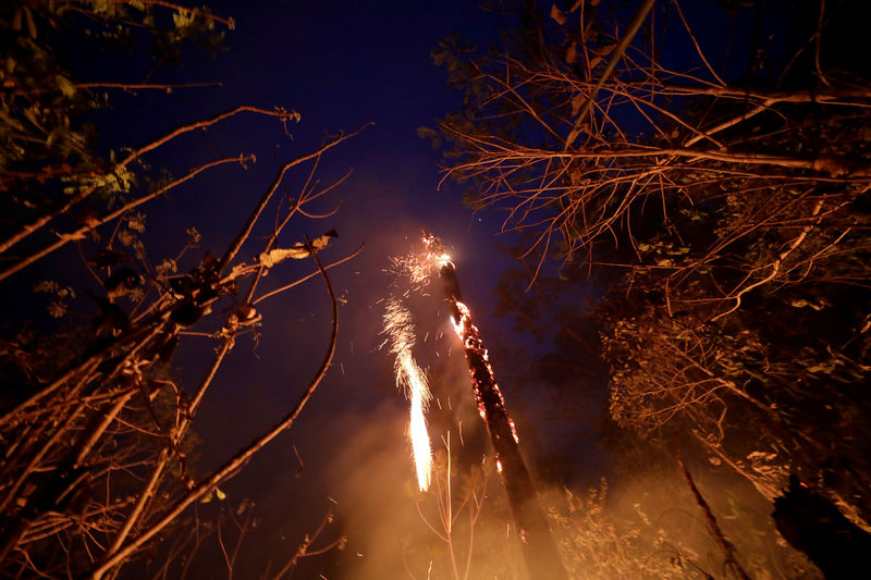 Ministério da Economia desbloqueia R$38,5 mi para Defesa combater incêndios na Amazônia