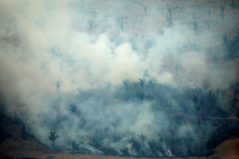 Papa pede compromisso global para apagar incêndios na Amazônia