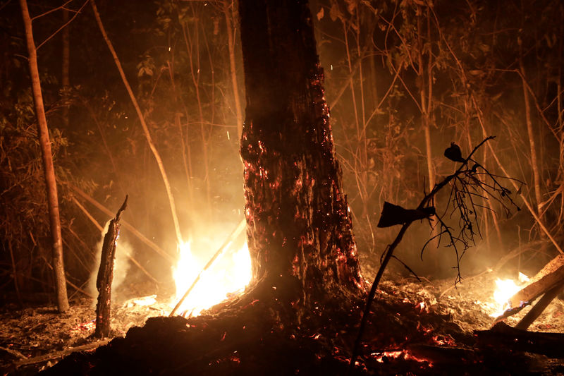 Nações do G7 estão perto de acordo para combater incêndios na Amazônia