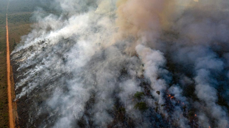 アマゾン森林火災、ブラジル軍機が散水活動　国際的な批判受け