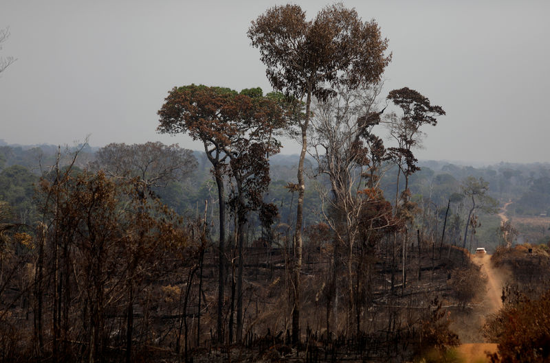 زعماء مجموعة السبع يقتربون من اتفاق لتقديم 20 مليون دولار لمكافحة حرائق الأمازون