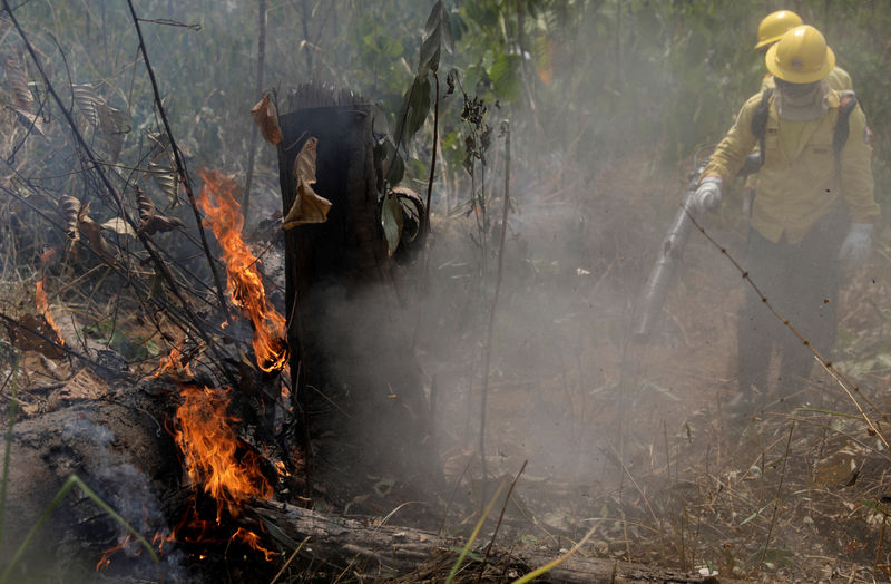 © Reuters. Foto de archivo. Bomberos extinguen fuego en la Amazonia en Porto Velho, Brasil.