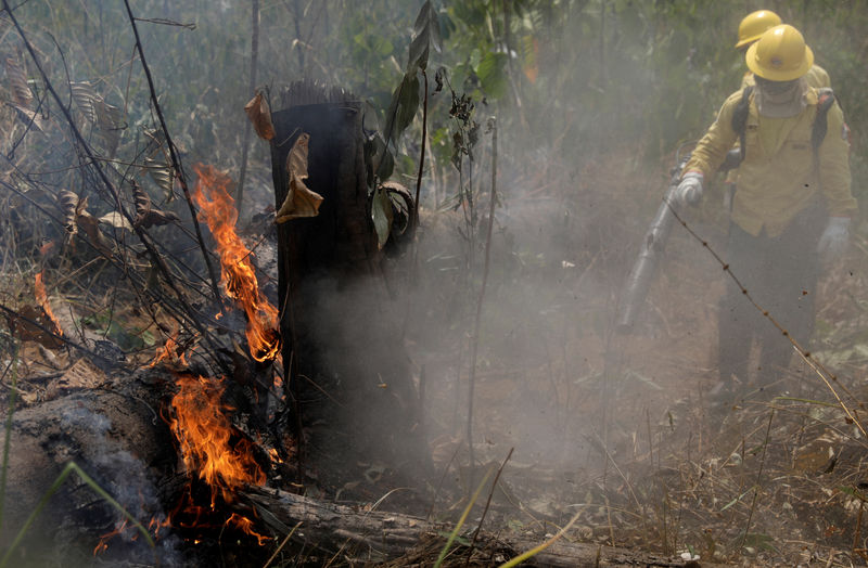 Incêndios na Amazônia não estão fora de controle, diz governo