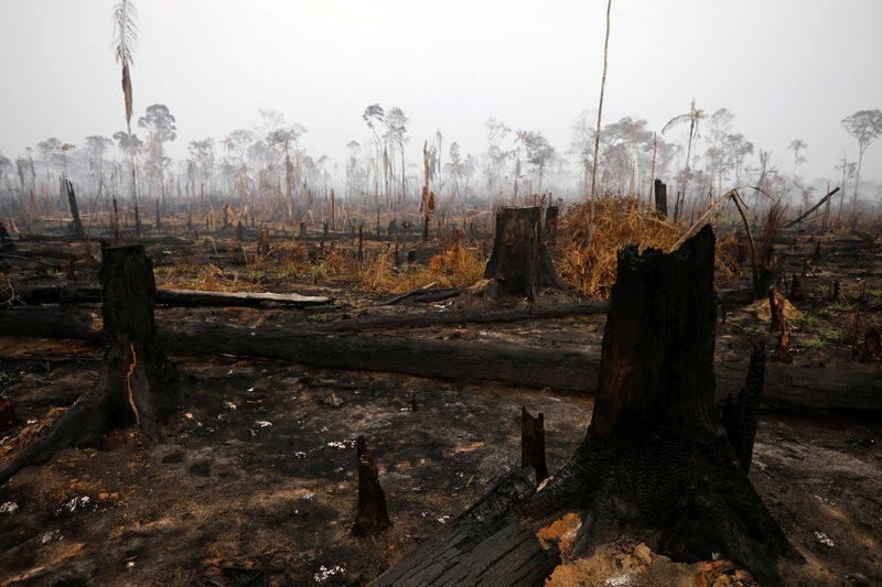 Ex-ministros do Meio Ambiente pedirão ao Congresso moratória de projetos que podem incentivar desmatamento