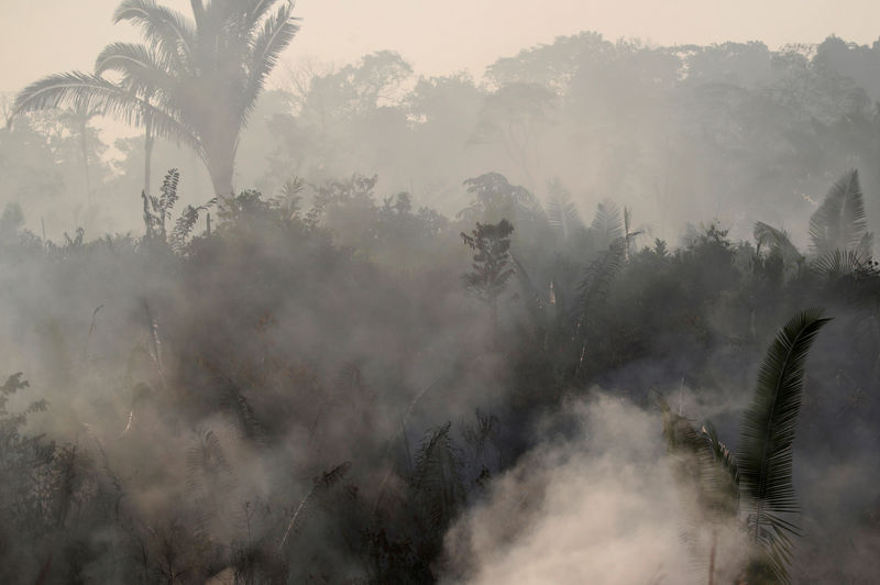 Noruega pede que suas empresas no Brasil fiquem atentas ao desmatamento