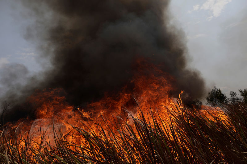 © Reuters. A tract of the Amazon jungle burns as it is cleared by loggers and farmers in Porto Velho