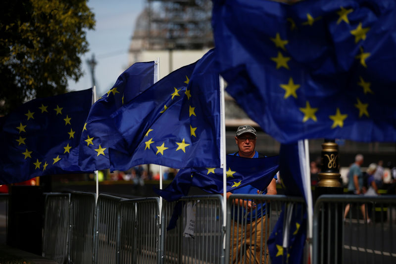 © Reuters. An anti-Brexit protestor attaches the EU flags to the fence of the Houses of the Parliament in London