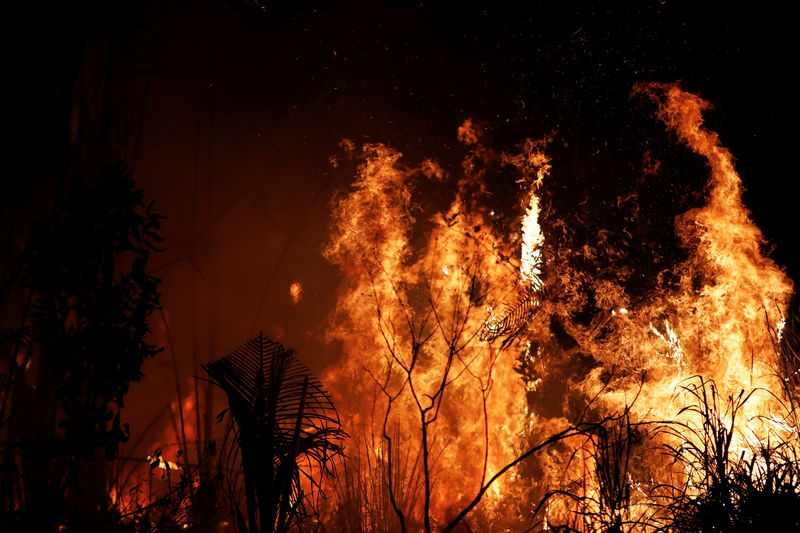 © Reuters. Incêndio na floresta amazônica em Altamira, no Pará