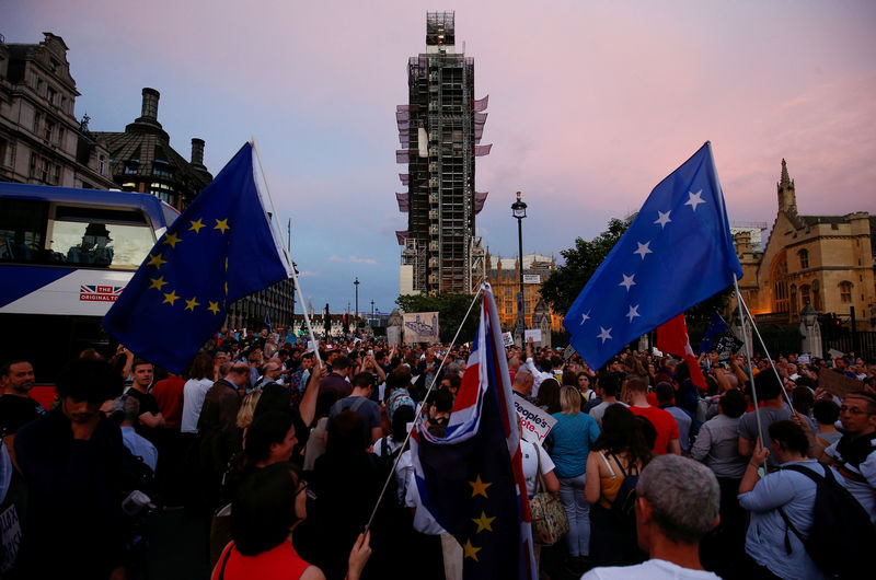 © Reuters. Protestors are seen during an anti-Brexit protest, outside the Houses of  Parliament in London