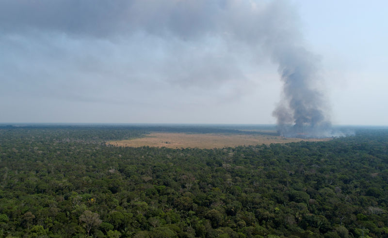 © Reuters. Vista aérea mostra fumaça subindo sobre uma área desmatada da floresta amazônica em Porto Velho