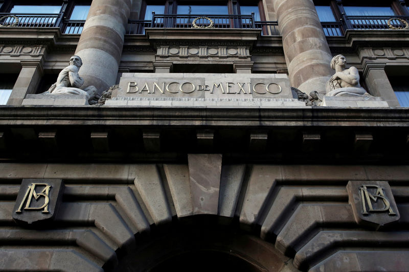 Mexico central bank board member Guzman was lone vote to hold rates steady: minutes