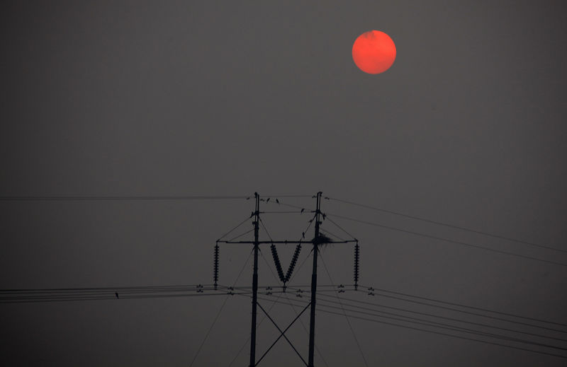 © Reuters. FOTO DE ARCHIVO - El sol sale a través de una espesa neblina frente a las aves que anidan en postes de electricidad en las afueras de Beijing