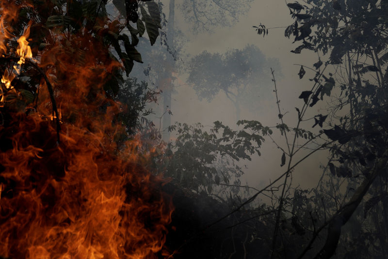 Nordea Asset Management suspende compras de títulos do governo brasileiro devido a fogo na Amazônia