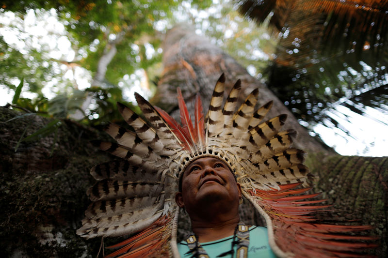 سكان‭ ‬الأمازون الأصليون يصلون لوقف الحرائق