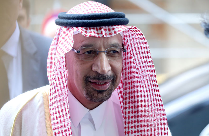 Russian Agri Minister, Saudi's Falih to discuss Russia-Saudi trade