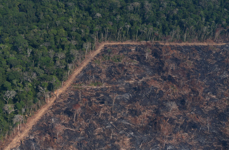 Câmara aprova projeto que autoriza pagamentos para preservação ambiental