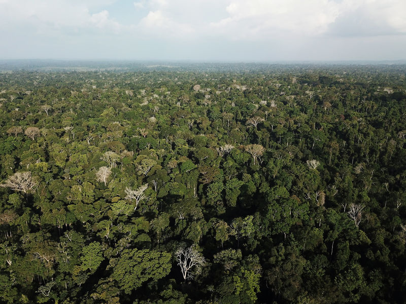 Governo faz campanha no Brasil e no exterior para defender soberania na Amazônia