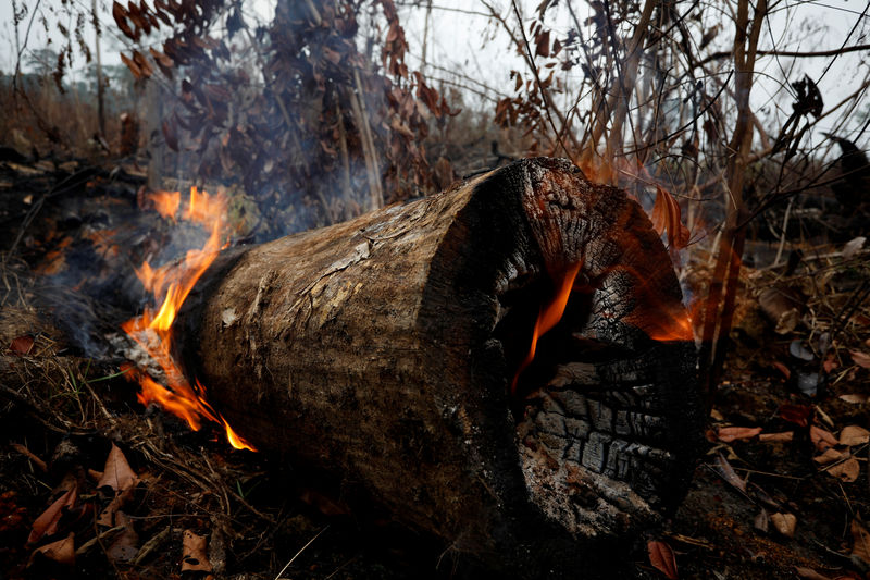 © Reuters. Incêndio na floresta amazônica em Apuí, no Estado do Amazonas