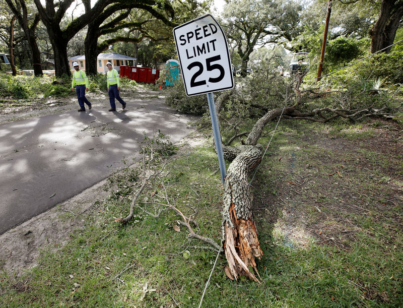 © Reuters. Utility workers walk past a power line brought down by a tree branch after Hurricane Dorian swept through, in Southport, North Carolina