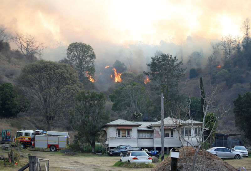 © Reuters. Fire and Emergency crew battle bushfire near a house in the rural town of Canungra in the Scenic Rim region of South East Queensland