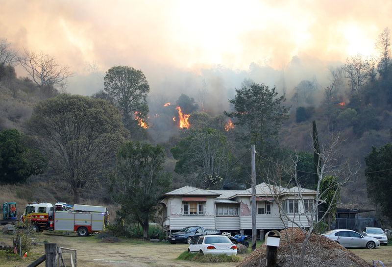 ساحل استراليا الشرقي يكافح أكثر من 100 من حرائق الغابات وتدمير 21 منزلا