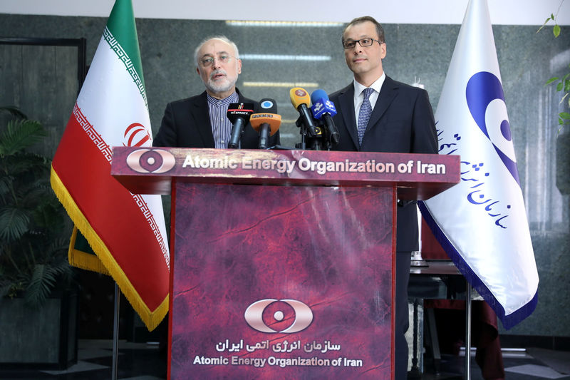 La UE no ha cumplido con los compromisos del acuerdo de 2015, según el jefe nuclear iraní