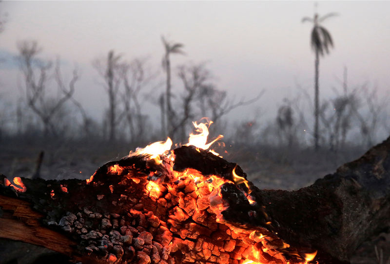 Incêndios em florestas da Bolívia colocam iniciativas agrícolas de Evo em xeque