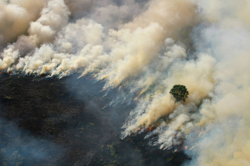 Malásia envia 500 mil máscaras a Estado atingido por névoa devido a incêndios florestais