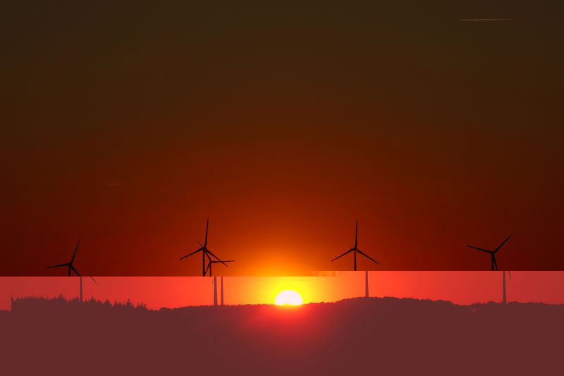 © Reuters. FILE PHOTO: Power-generating windmill turbines are pictured during sunset at a wind park in Campeneac