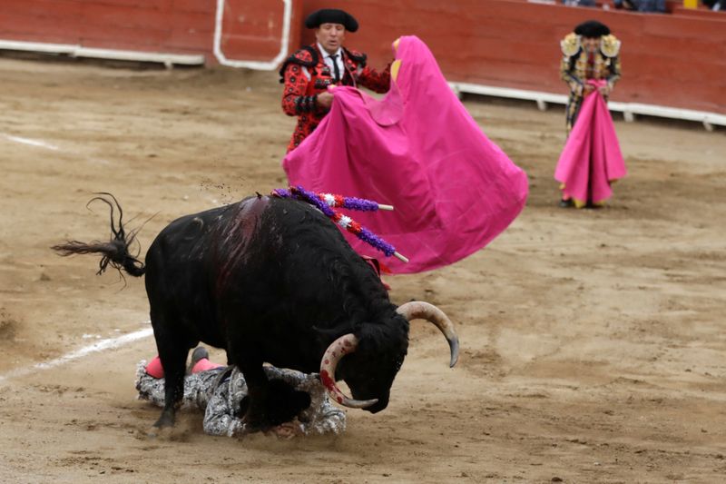 Perú avala las corrida de toros y las peleas de gallos