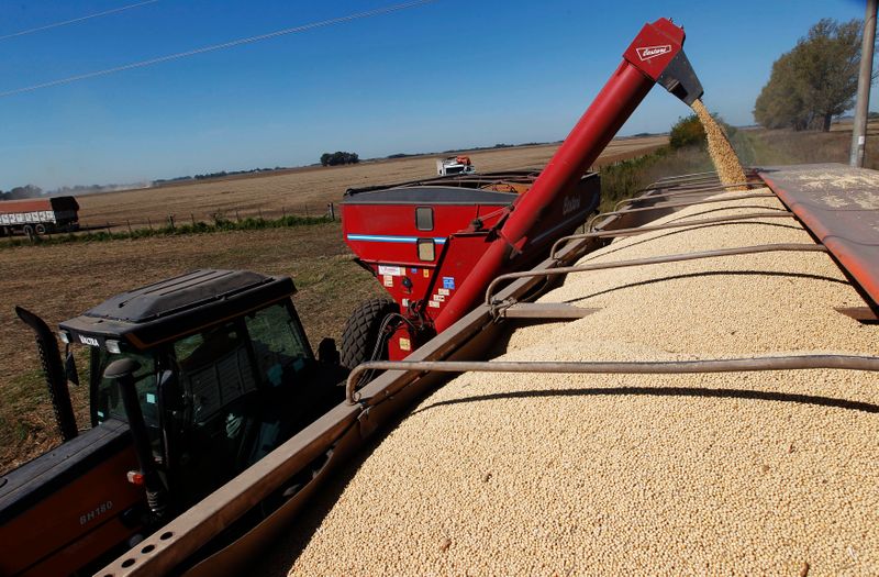 Venda de grãos na Argentina é paralisada por incertezas sobre impostos agrícolas