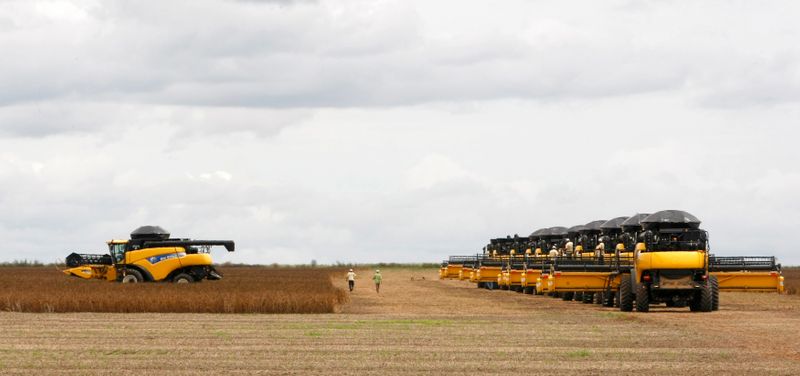 Colheita de soja do país atinge 43,1% da área; alerta ao milho em alguns Estados