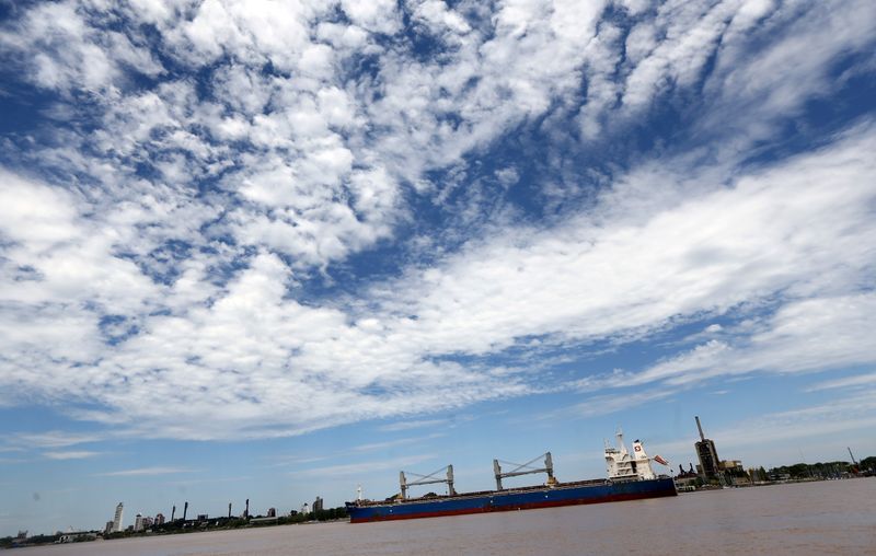 &copy; Reuters. FILE PHOTO: Grain is loaded onto a ship for export at a port on the Parana River near Rosario, Argentina