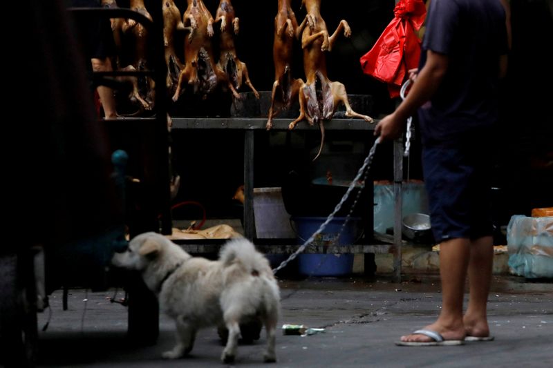 © Reuters. Homem passeia com seu cão em festival de carne de cachorro em Yulin, na China