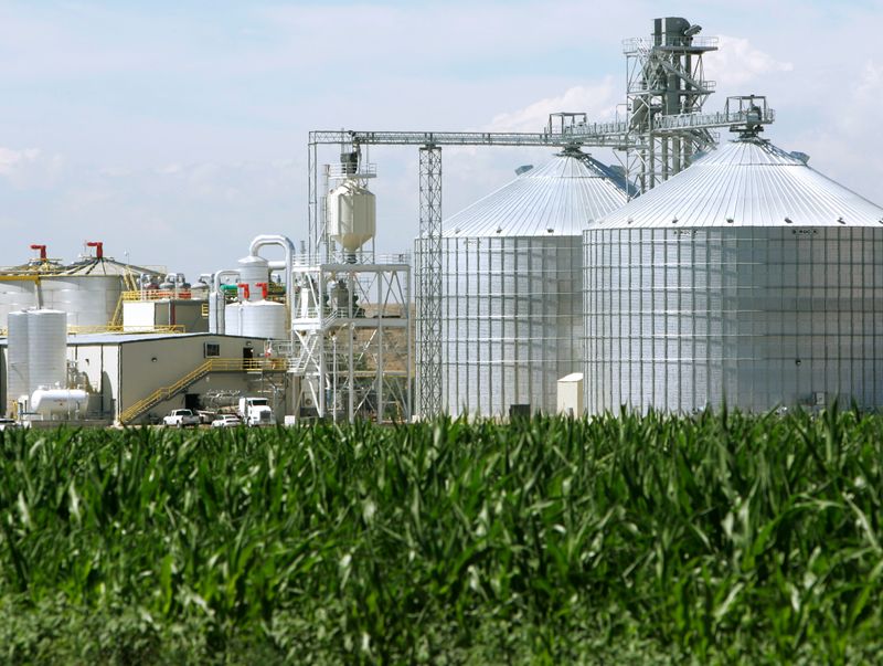 © Reuters. Silos para armazenamento de milho em unidade produtora de etanol em Windsor, Colorado (EUA); em primeiro plano, área com plantio do cereal