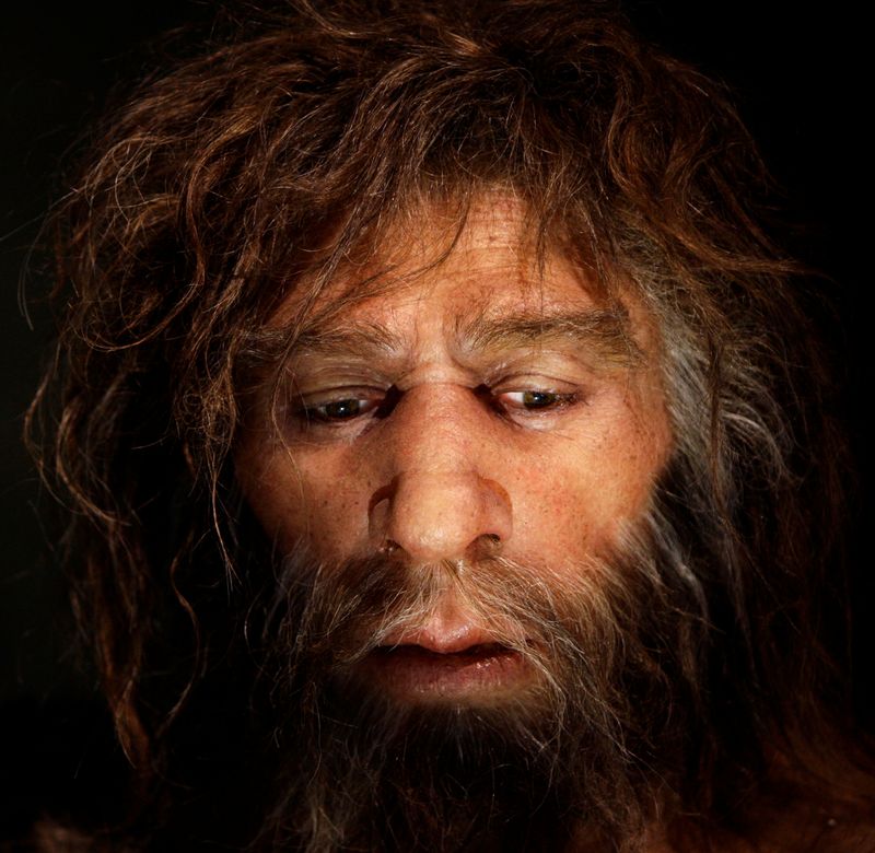 &copy; Reuters. FILE PHOTO: Hyperrealistic face of a Neanderthal male is displayed in a cave in the Neanderthal Museum in the northern Croatian town of Krapina