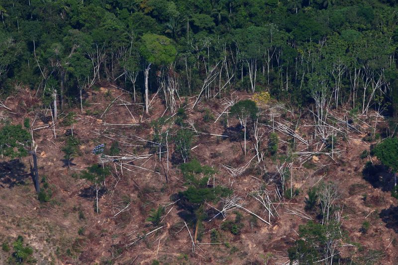 © Reuters. Área desmatada da floresta amazônica em Novo Progresso, no Pará