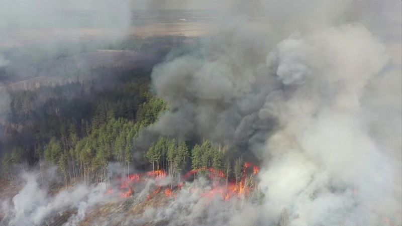 &copy; Reuters. An aerial view shows a forest fire in the exclusion zone around the Chernobyl nuclear power plant