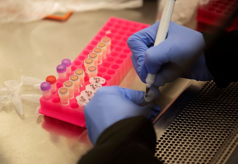 © Reuters. FILE PHOTO: Researchers set up new labs to help fight coronavirus at the University of Minnesota
