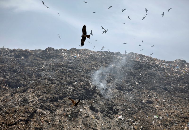 © Reuters. Aves vuelan mientras se levanta una columna de humo desde desechos que arden en un basural en el Día de la Tierra, en las afueras de Ahmedabad