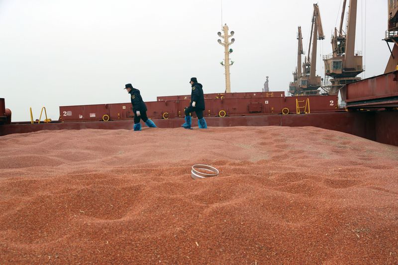 &copy; Reuters. FILE PHOTO: Customs officers inspect a shipment of sorghum from the U.S. on a cargo ship at the port in Nantong