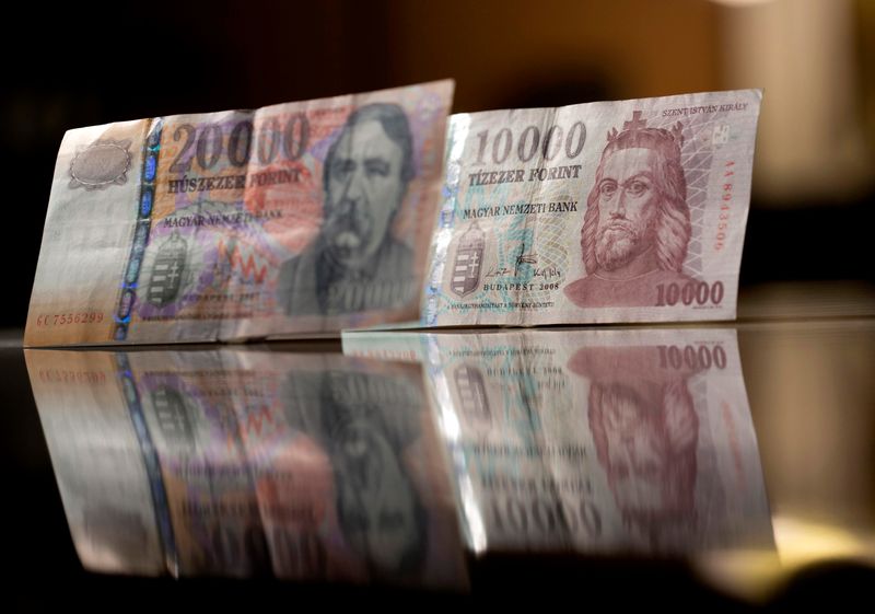 &copy; Reuters. FILE PHOTO:  Hungarian forint notes are seen in this photo illustration taken in Budapest