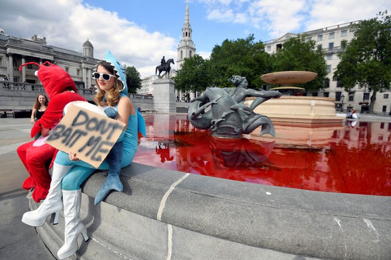© Reuters. Animal rights activists sit at a fountain whose water was turned red after protesters poured coloured dye into the clear water, on Trafalgar Square in London