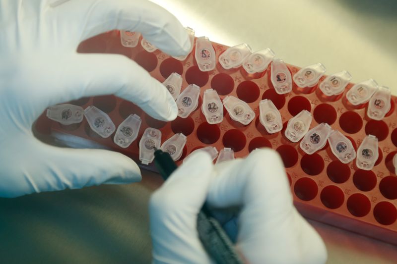 &copy; Reuters. Pesquisador marca amostras durante pesquisa para desenvolvimento de vacina para Covid-19 em laboratório de São Petersburgo