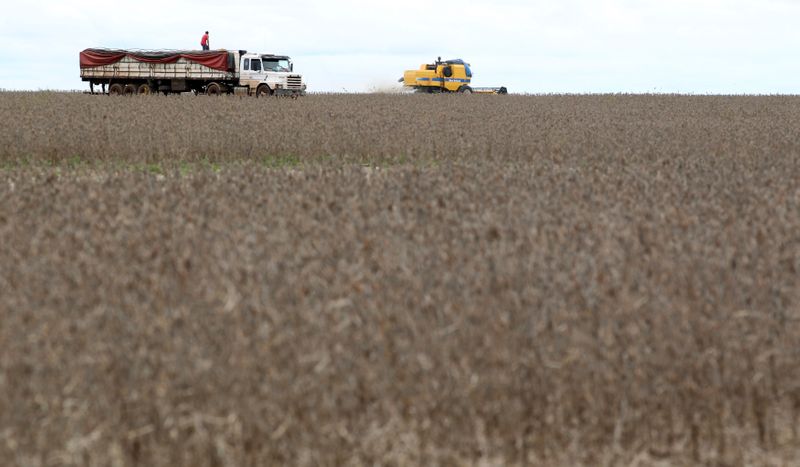 &copy; Reuters. Colheita de soja em Primavera do Leste (MT)