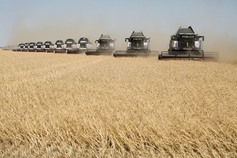 © Reuters. Colheita de trigo na região de Stavropol, Rússia