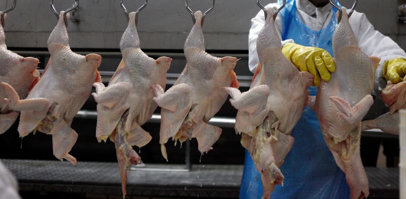 © Reuters. Processamento de carne de frango em Itatinga (SP)